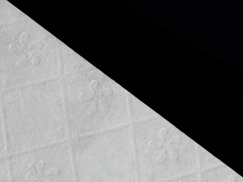 نسيج فسكوزي / لب قابل للغسل لورق التواليت